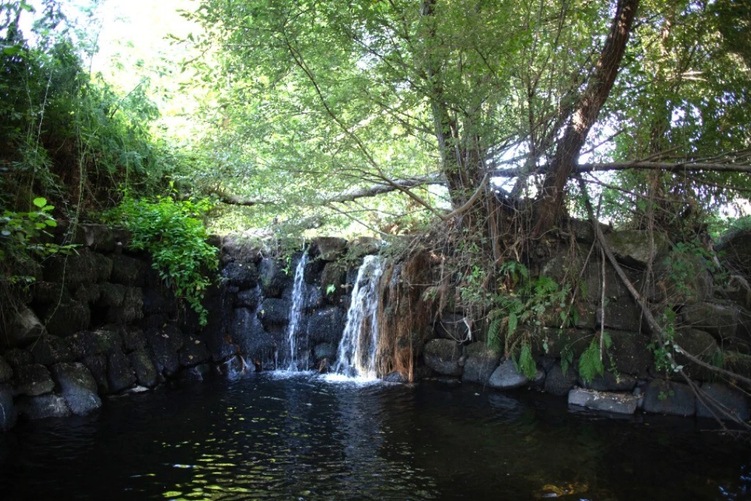 Quinta T5 para Venda em Moimenta da Serra e Vinhó Foto 5