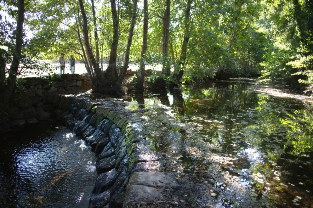 Quinta T5 para Venda em Moimenta da Serra e Vinhó Foto 9