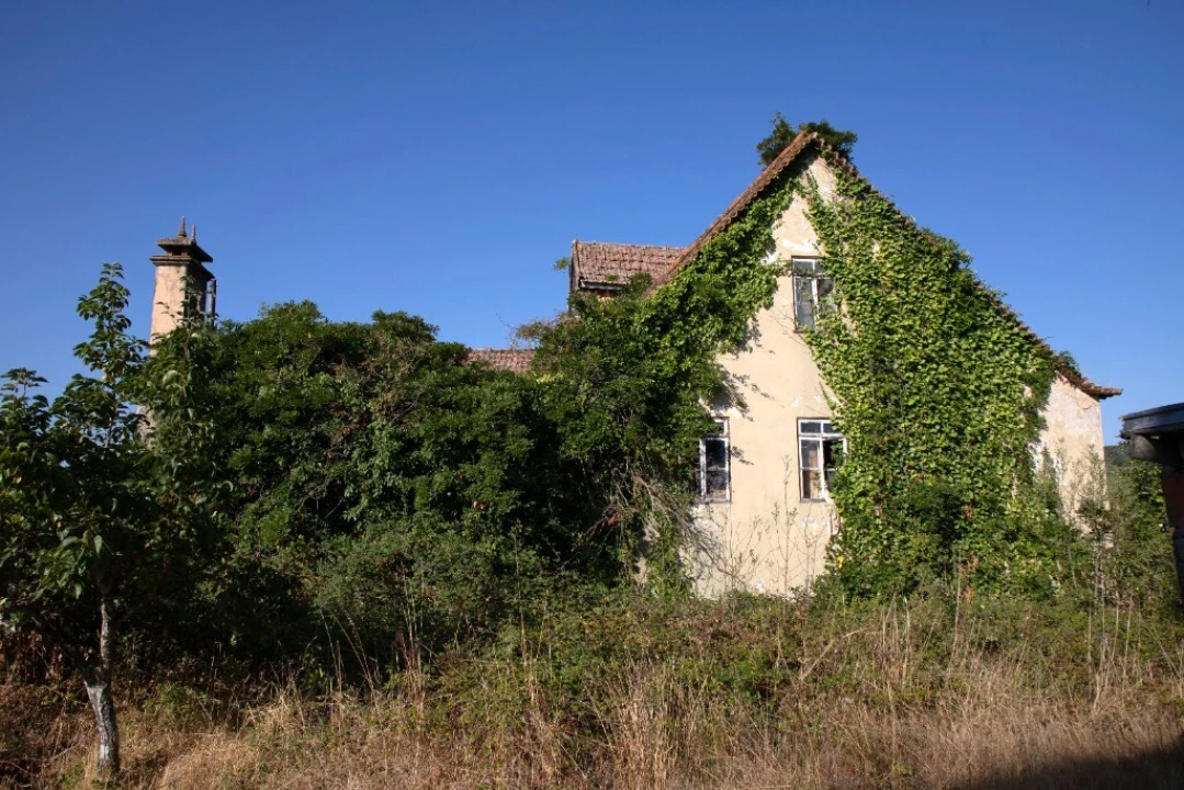 Quinta T5 para Venda em Moimenta da Serra e Vinhó Foto 16
