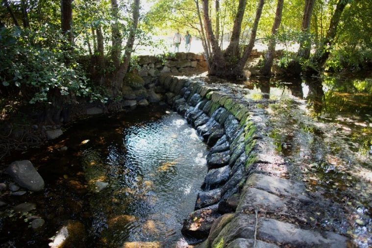 Quinta T5 para Venda em Moimenta da Serra e Vinhó Foto 10