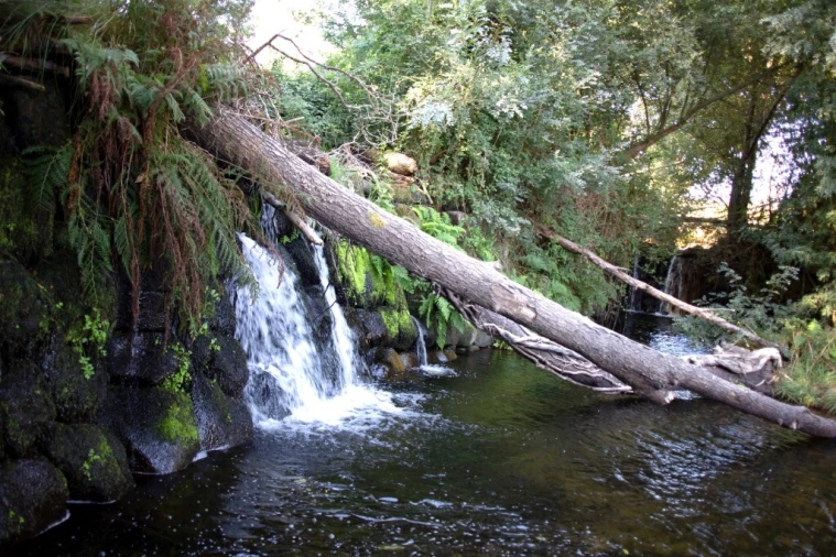 Quinta T5 para Venda em Moimenta da Serra e Vinhó Foto 6