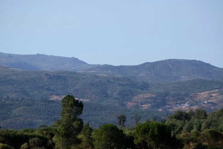 Quinta T5 para Venda em Moimenta da Serra e Vinhó Foto 3