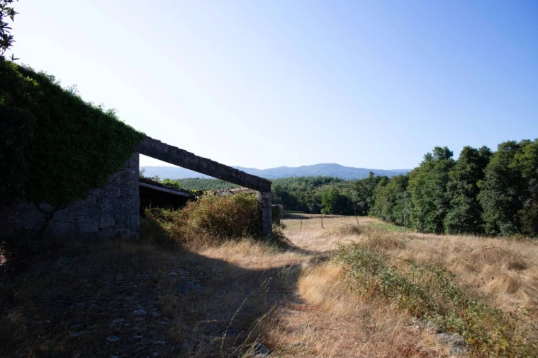 Quinta T5 para Venda em Moimenta da Serra e Vinhó Foto 25