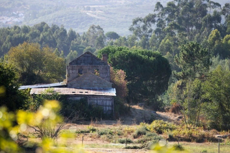 Quinta T5 para Venda em Moimenta da Serra e Vinhó Foto 26