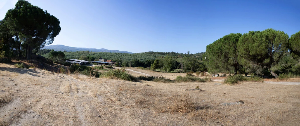 Quinta T5 para Venda em Moimenta da Serra e Vinhó Foto 31