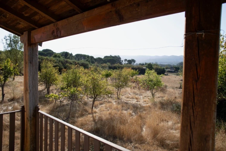 Quinta T5 para Venda em Moimenta da Serra e Vinhó Foto 1