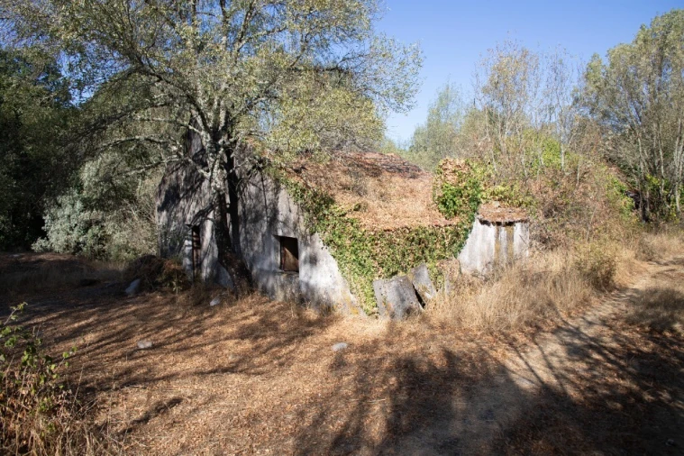 Quinta T5 para Venda em Moimenta da Serra e Vinhó Foto 19