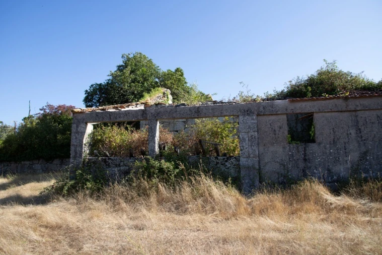 Quinta T5 para Venda em Moimenta da Serra e Vinhó Foto 24