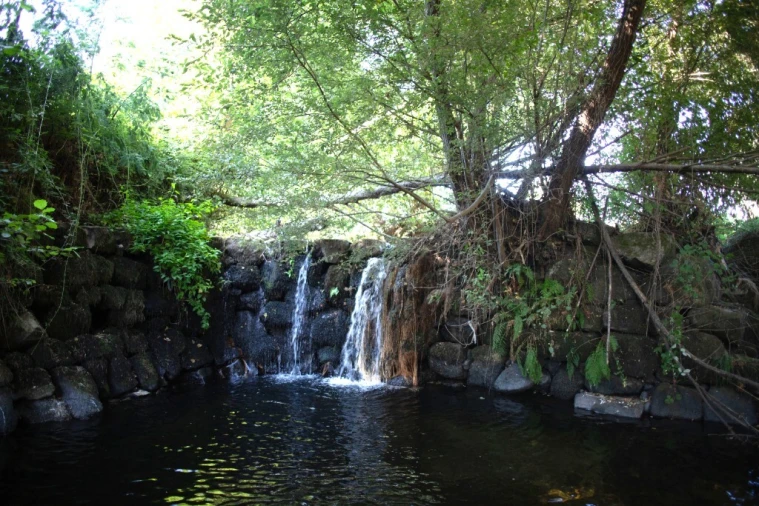 Quinta T5 para Venda em Moimenta da Serra e Vinhó Foto 5