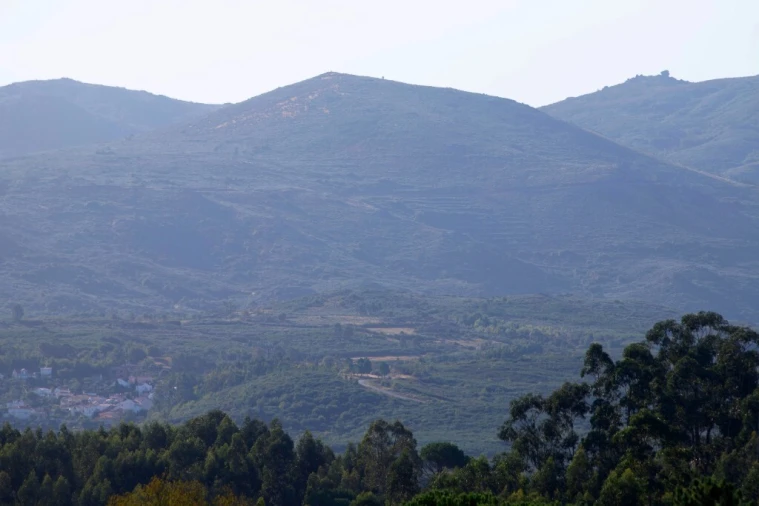 Quinta T5 para Venda em Moimenta da Serra e Vinhó Foto 2