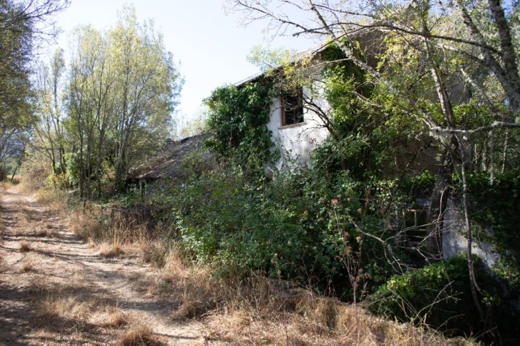 Quinta T5 para Venda em Moimenta da Serra e Vinhó Foto 20