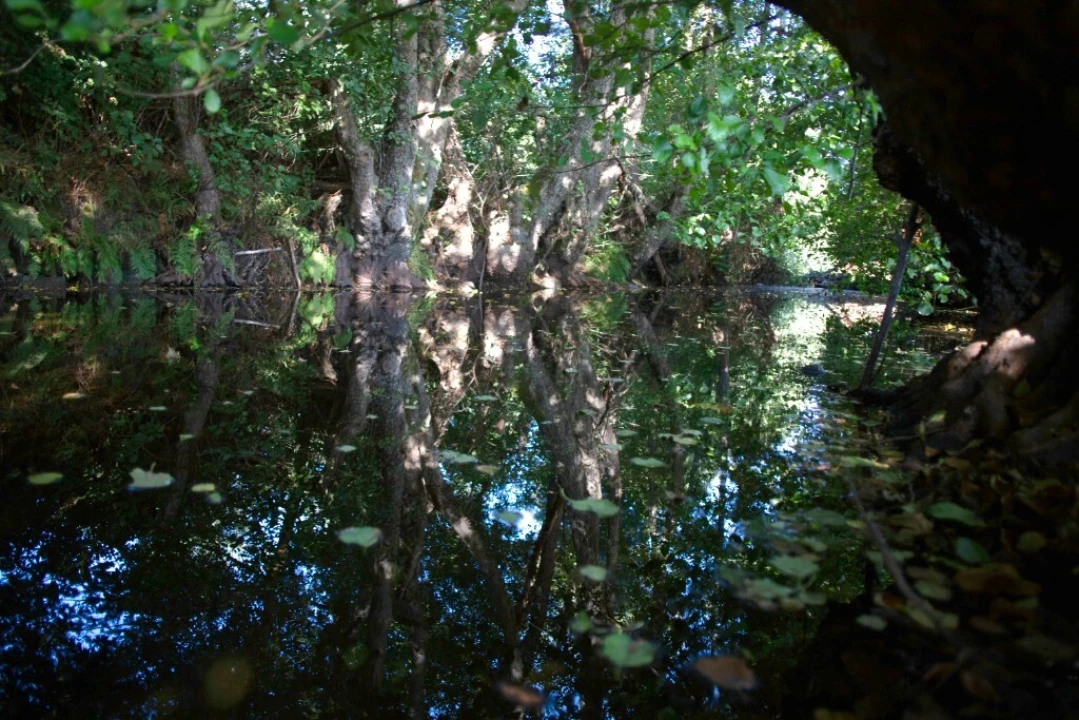 Quinta T5 para Venda em Moimenta da Serra e Vinhó Foto 7