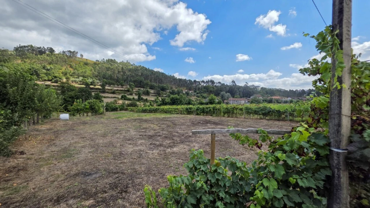 Terreno para Venda em Mosteiro Foto 2