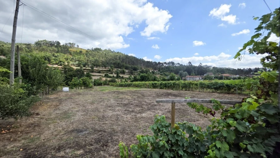 Terreno para Venda em Mosteiro Foto 4