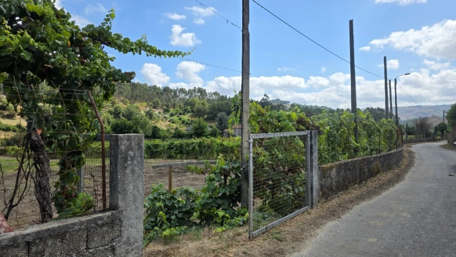 Terreno para Venda em Mosteiro Foto 6