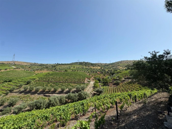 Quinta para Venda em Castanheiro do Sul
