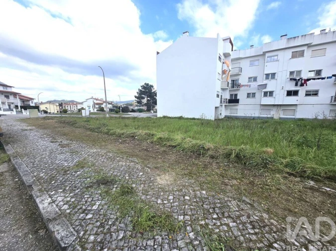 Terreno para Venda em Pombal Foto 14