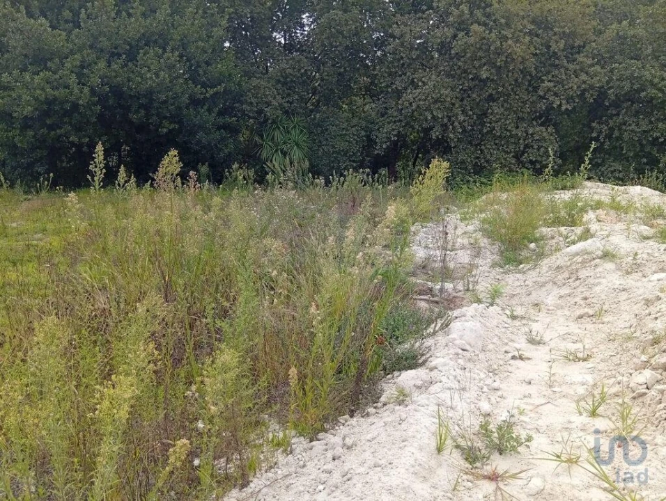 Terreno para Venda em Barcelos, V.Boa, V.Frescainha Foto 4