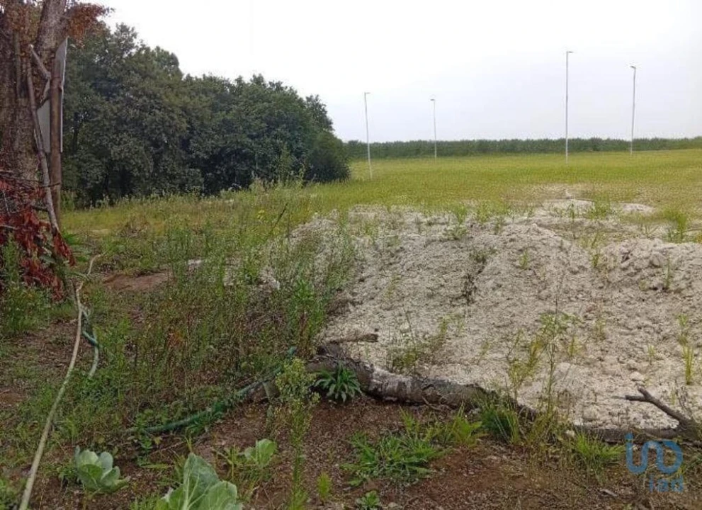 Terreno para Venda em Barcelos, V.Boa, V.Frescainha Foto 13