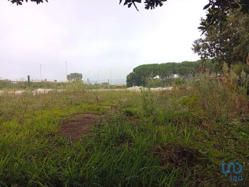 Terreno para Venda em Barcelos, V.Boa, V.Frescainha Foto 9