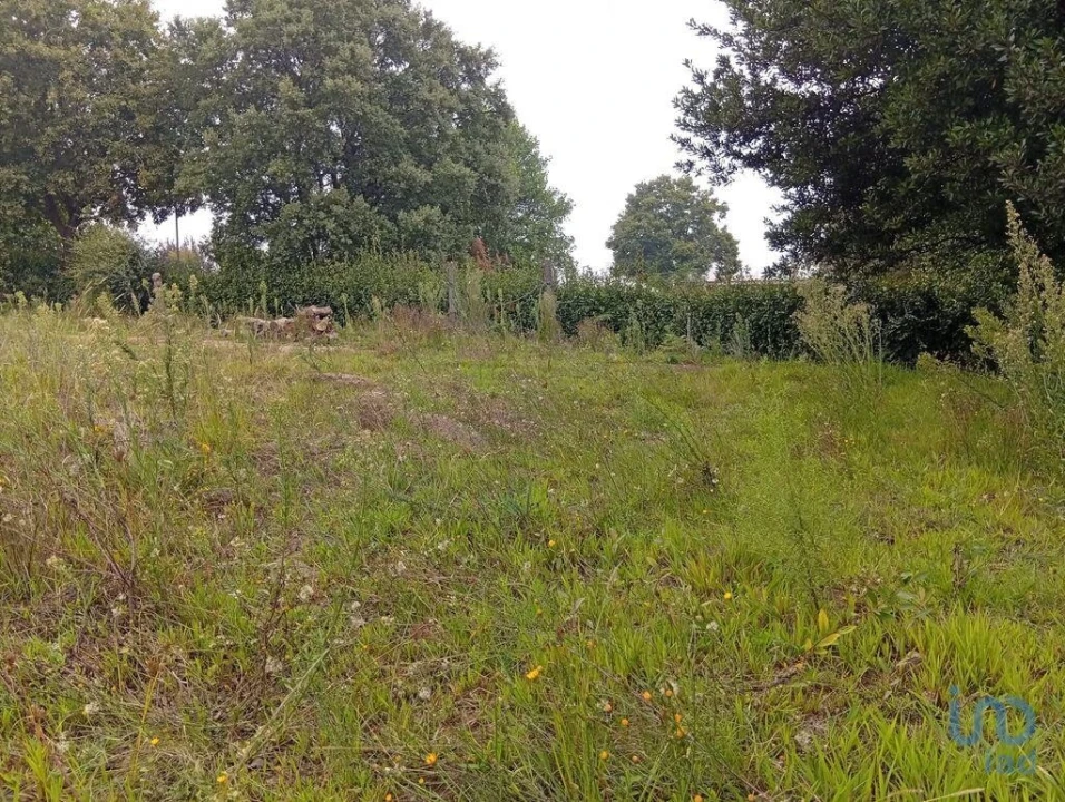 Terreno para Venda em Barcelos, V.Boa, V.Frescainha Foto 6