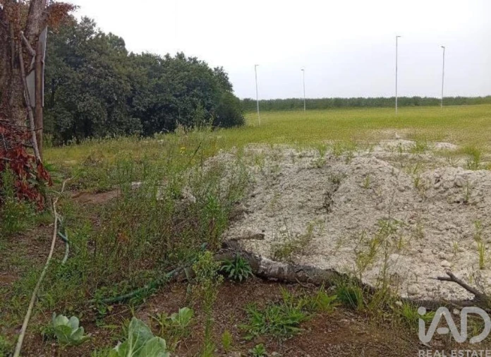 Terreno para Venda em Barcelos, V.Boa, V.Frescainha Foto 20