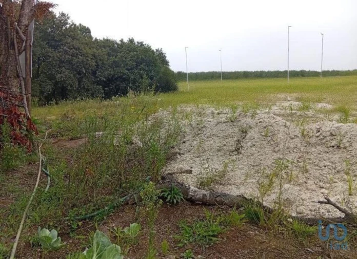 Terreno para Venda em Barcelos, V.Boa, V.Frescainha Foto 13