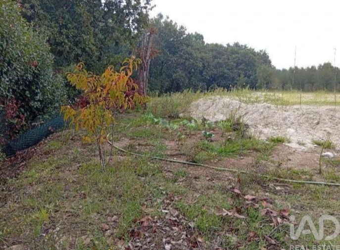 Terreno para Venda em Barcelos, V.Boa, V.Frescainha Foto 23