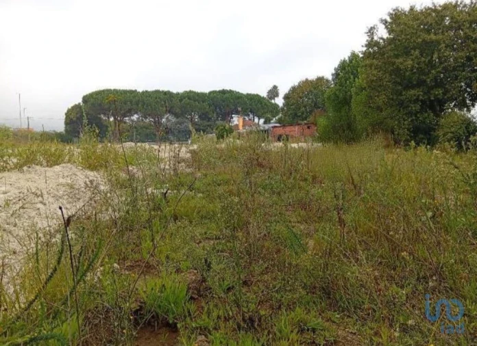 Terreno para Venda em Barcelos, V.Boa, V.Frescainha Foto 14