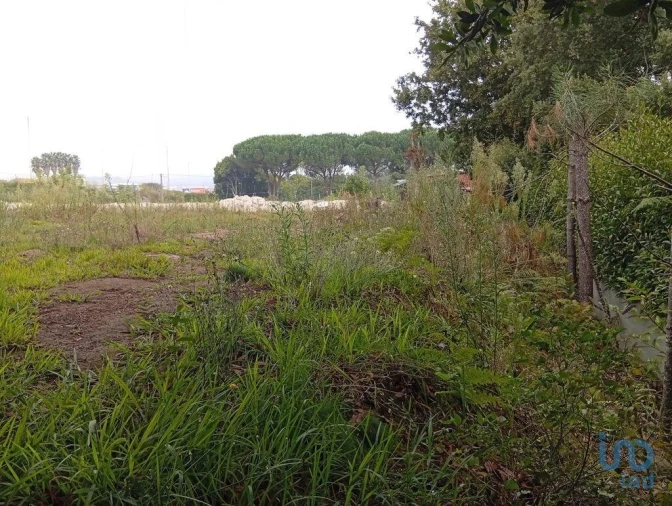 Terreno para Venda em Barcelos, V.Boa, V.Frescainha Foto 7