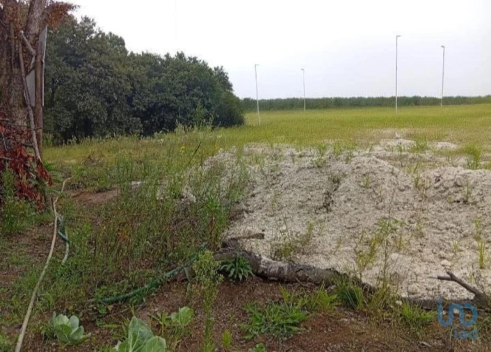 Terreno para Venda em Barcelos, V.Boa, V.Frescainha Foto 12