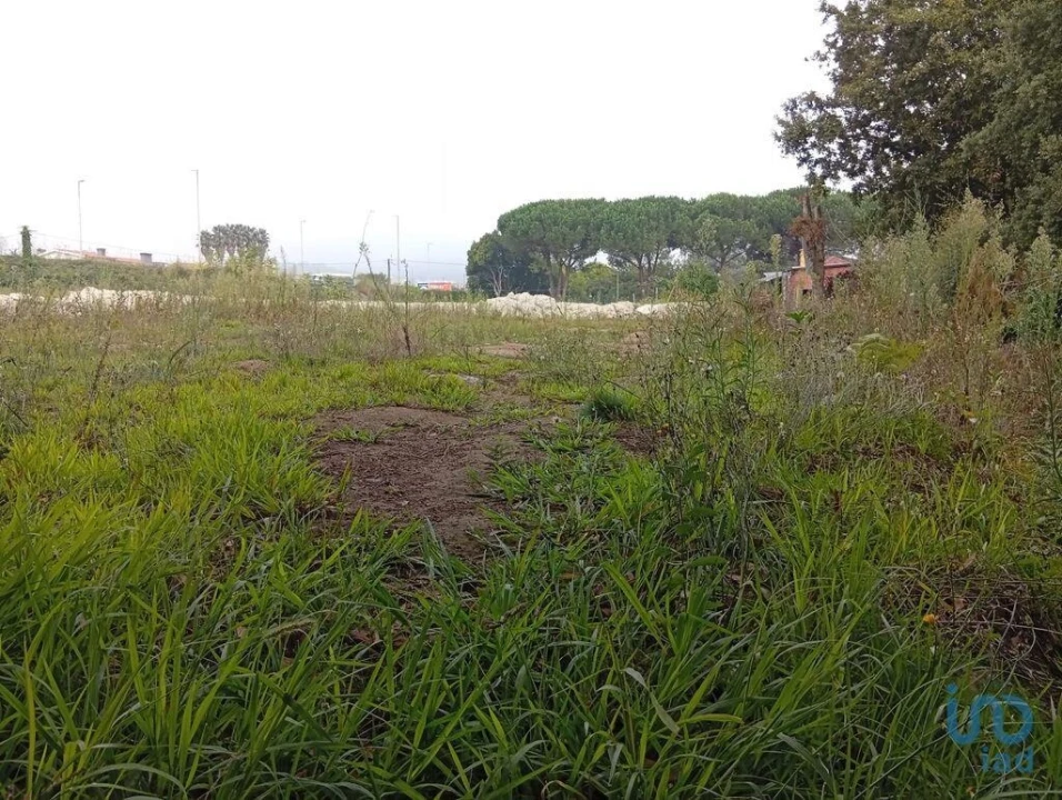 Terreno para Venda em Barcelos, V.Boa, V.Frescainha Foto 10