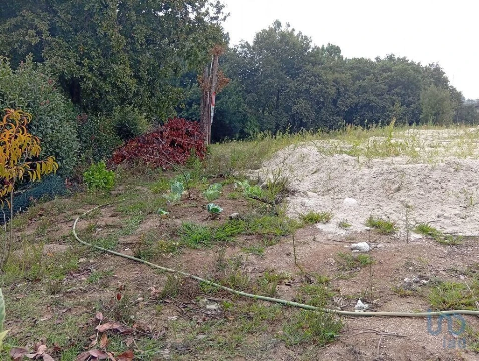 Terreno para Venda em Barcelos, V.Boa, V.Frescainha Foto 3