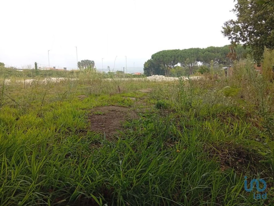 Terreno para Venda em Barcelos, V.Boa, V.Frescainha Foto 8