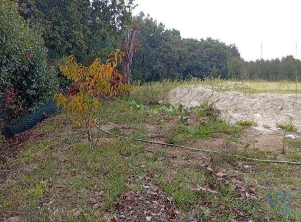 Terreno para Venda em Barcelos, V.Boa, V.Frescainha Foto 11