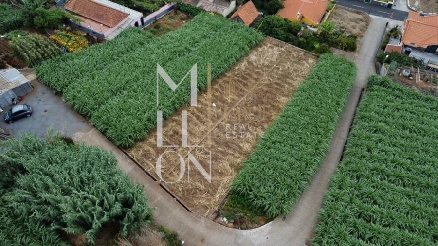 Terreno para Venda em Canhas Foto 7
