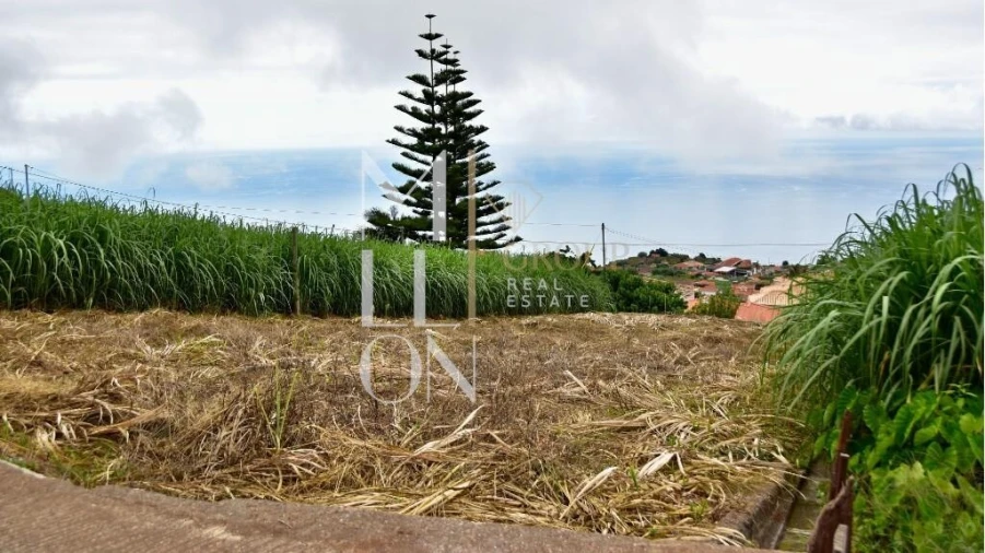 Terreno para Venda em Canhas Foto 10