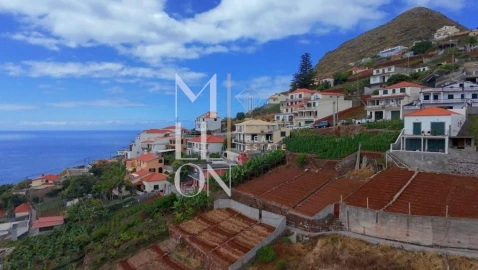 Terreno para Venda em Camara de Lobos