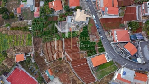 Terreno para Venda em Camara de Lobos