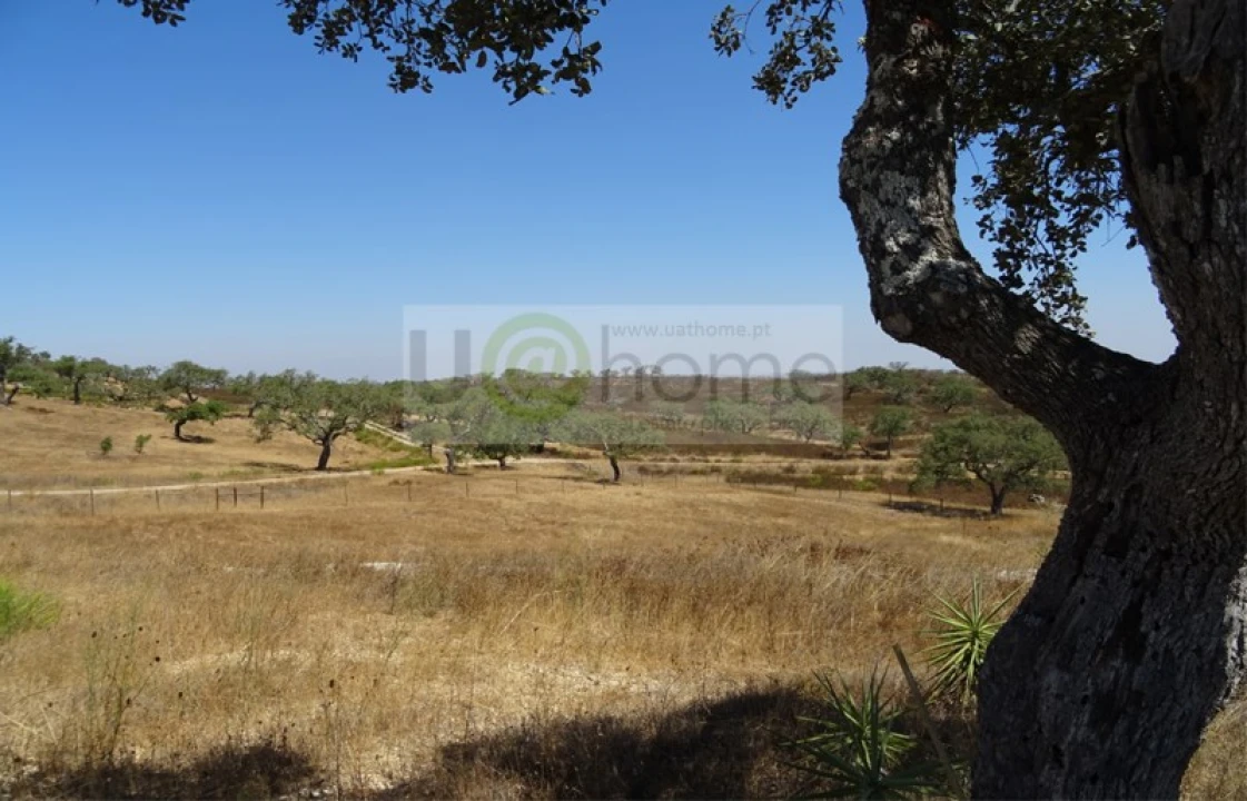 Moradia T6 para Venda em Ourique Foto 34