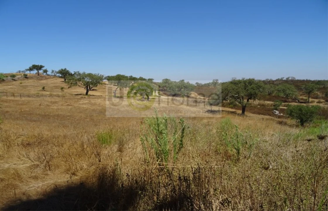 Moradia T6 para Venda em Ourique Foto 36