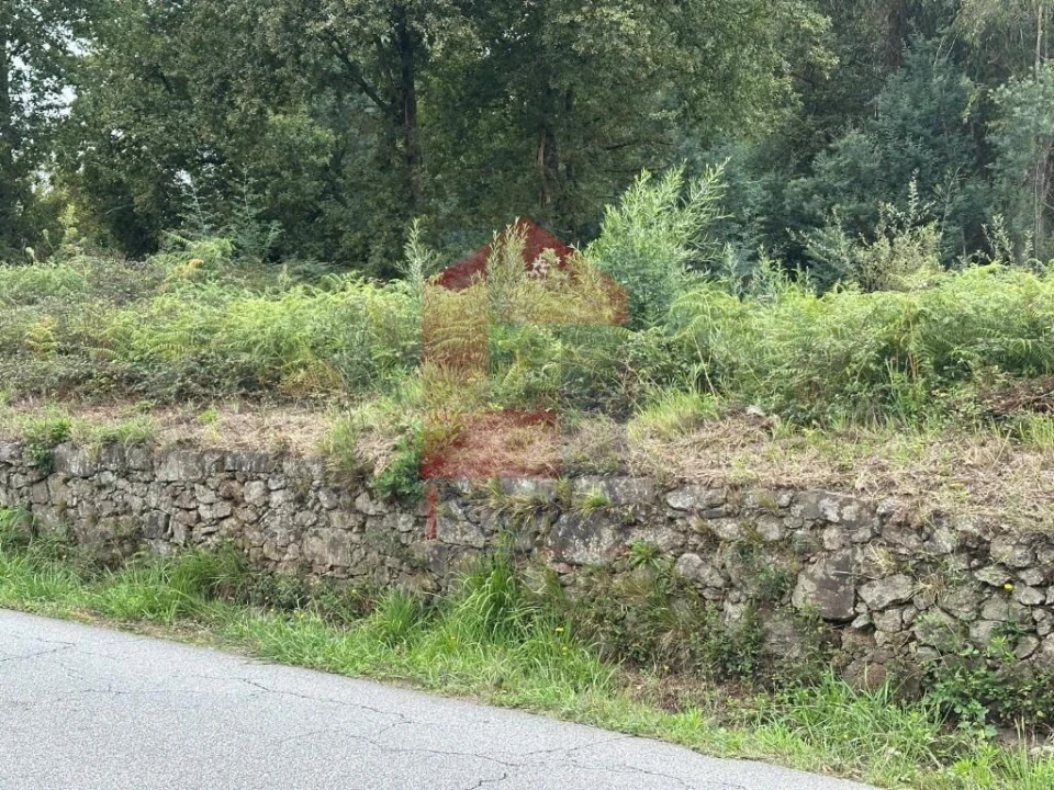 Terreno para Venda em Pico de Regalados, Gondiães e Mós Foto 8