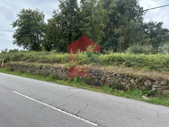Terreno para Venda em Pico de Regalados, Gondiães e Mós Foto 2