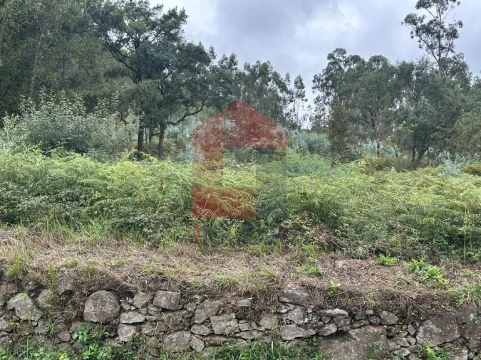 Terreno para Venda em Pico de Regalados, Gondiães e Mós Foto 4