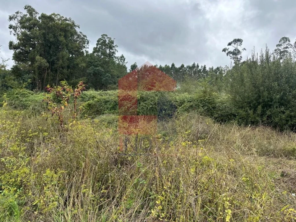 Terreno para Venda em Pico de Regalados, Gondiães e Mós Foto 5