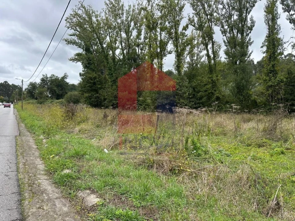 Terreno para Venda em Pico de Regalados, Gondiães e Mós Foto 9