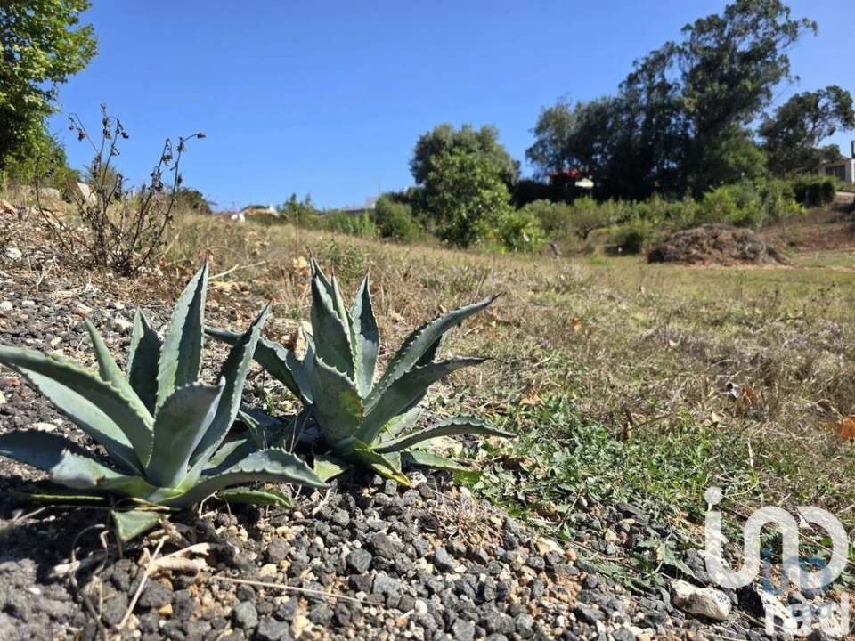 Terreno para Venda em A dos Francos Foto 12