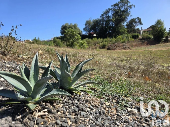 Terreno para Venda em A dos Francos Foto 12
