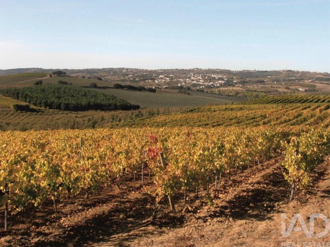 Moradia T3 para Venda em Bombarral e Vale Covo Foto 26