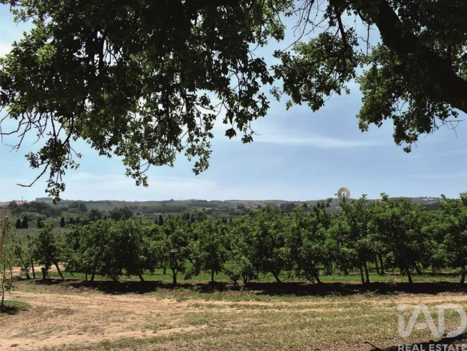 Moradia T3 para Venda em Bombarral e Vale Covo Foto 25